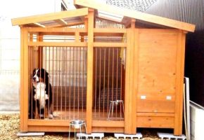 雨の日にも汚れず過ごせる犬小屋